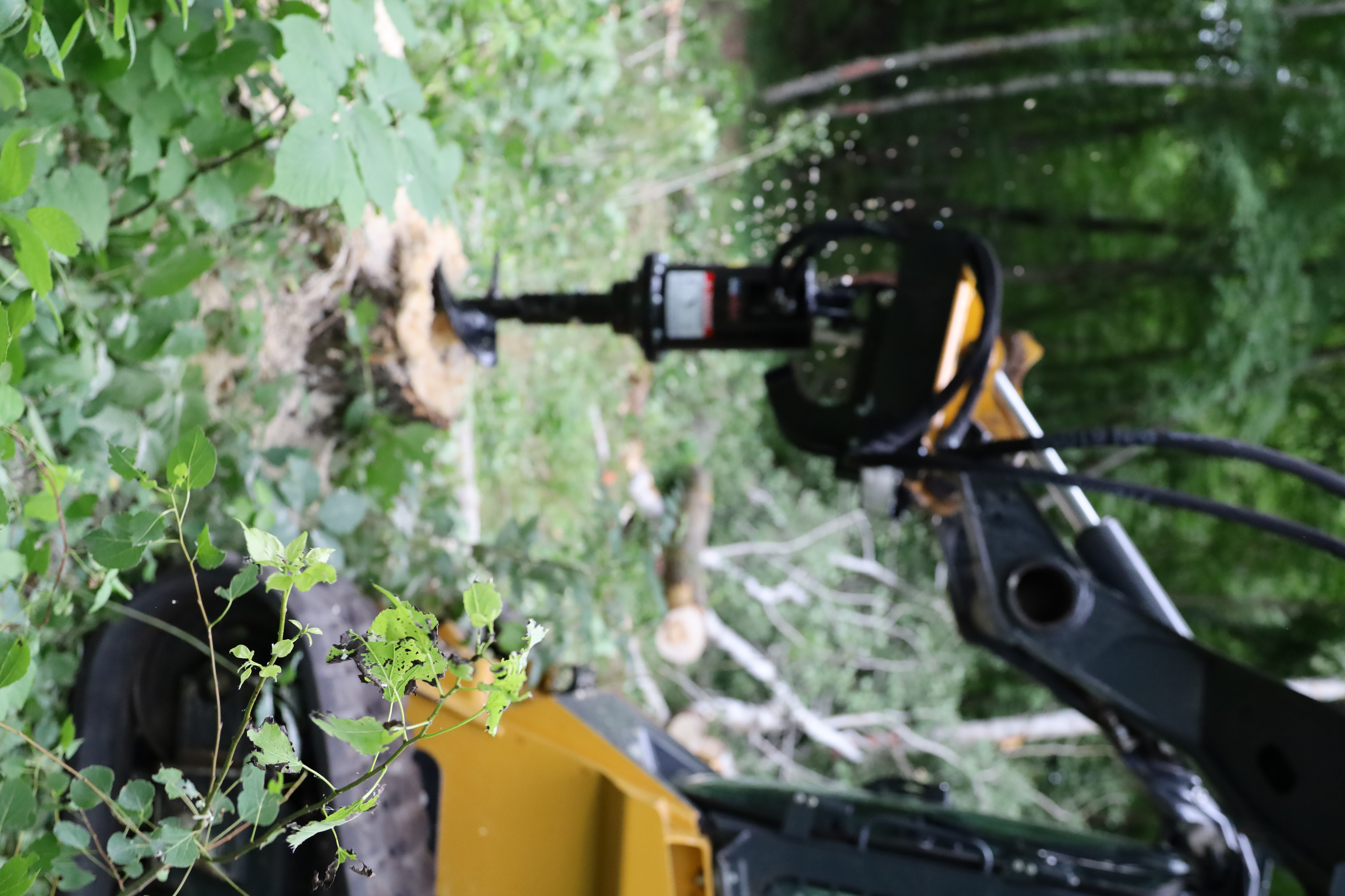 erskine