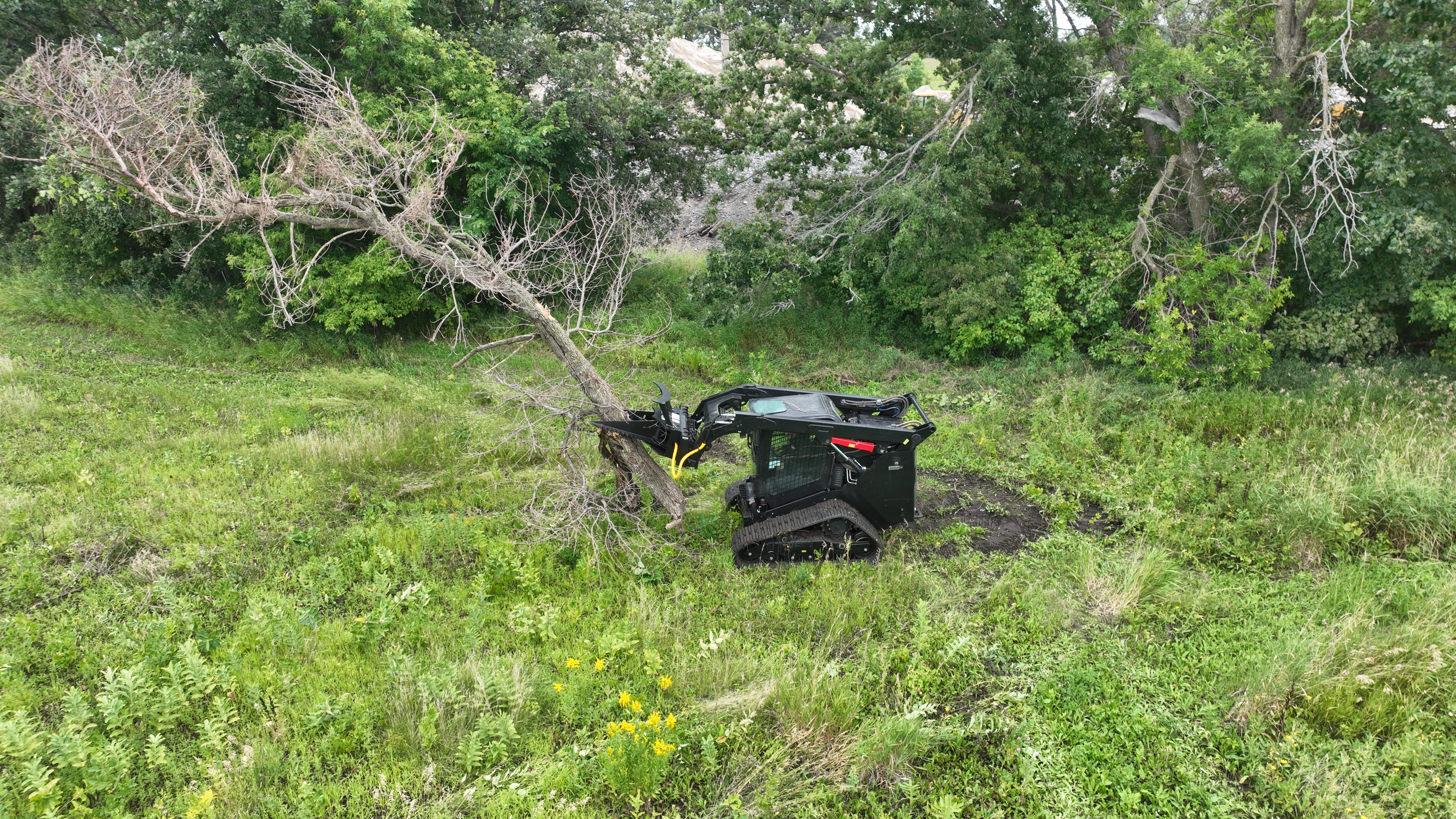 Heavy-Duty Tree Puller